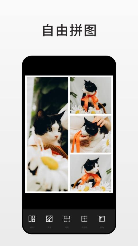 Fotor手机版v7.4.5.1137截图4