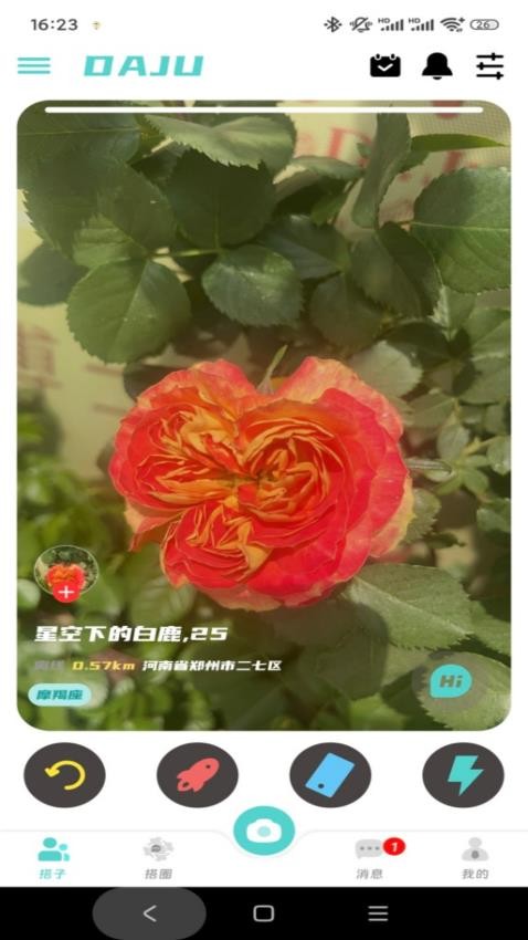 搭聚客户端v1.0.1截图2