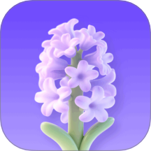 风信子花手机版 v1.0.1