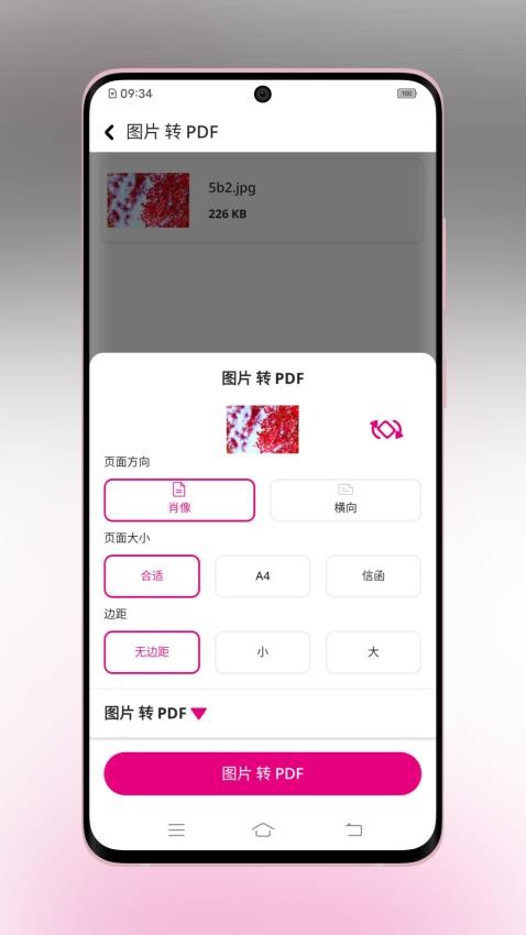 壹龙PDF转换官网版v1.0.1截图5