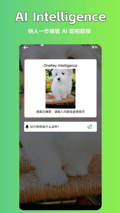 AI写作豆免费版v1.0.6截图1