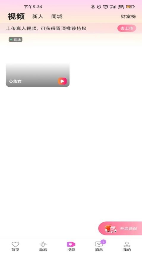心鸢手机版v1.5.0截图2