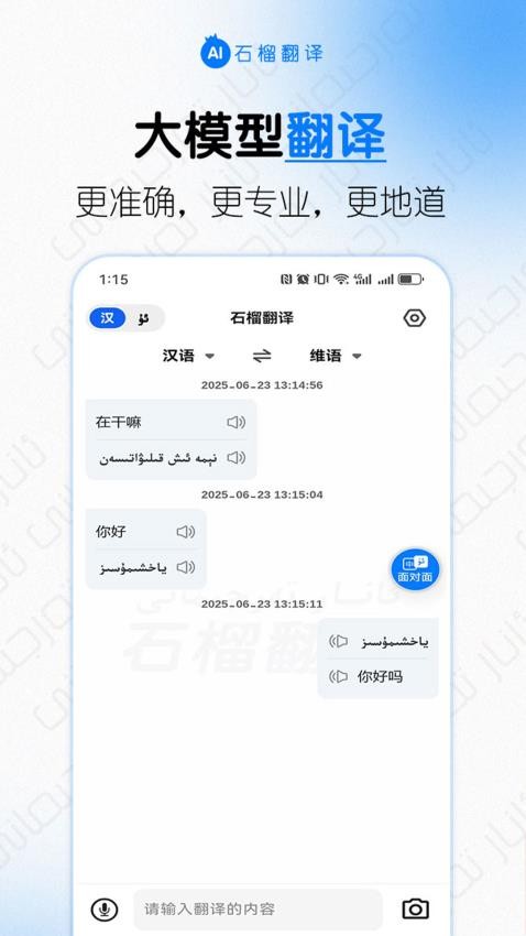石榴翻译官方版v1.0.0截图1