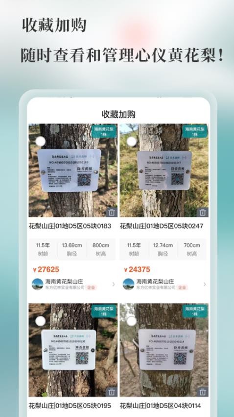 良木森林官方版v4.6.0_20250630截图4