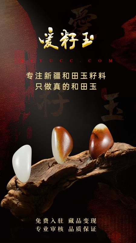 爱籽玉拍卖官方版v2.7.1截图1