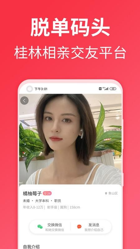 脱单码头手机版v1.3.0截图2