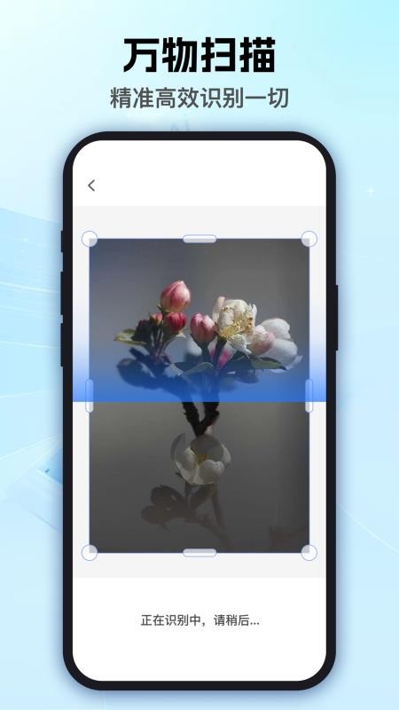 泡泡扫描王软件v1.0.0截图3