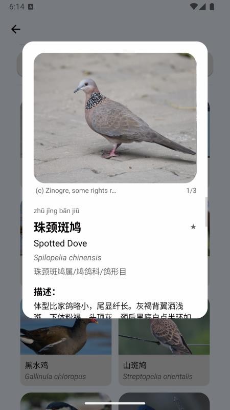 百鸟记官网版v1.7.3截图5