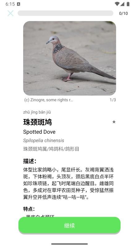 百鸟记官网版v1.7.3截图1