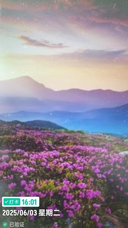 工程水印相机打卡拍照手机版v1.2截图3