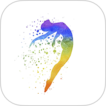 轻术软件 v1.0.4