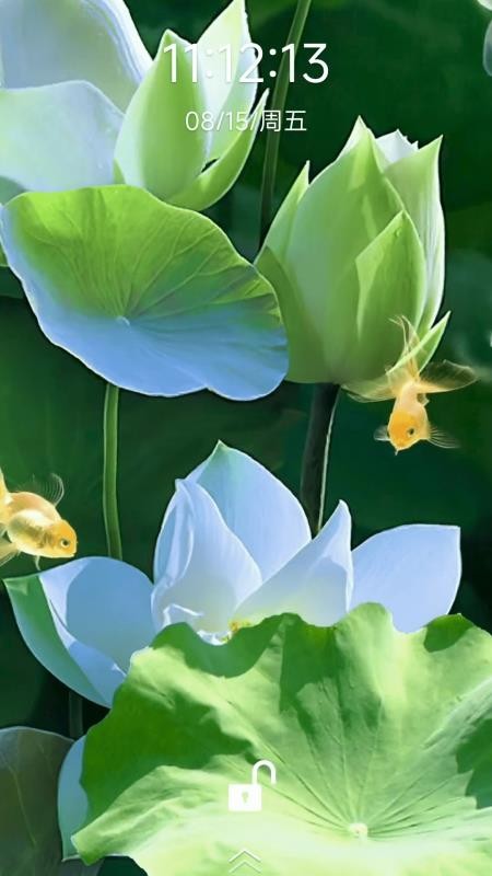 荷花锦鲤壁纸手机版v1.0.13截图3