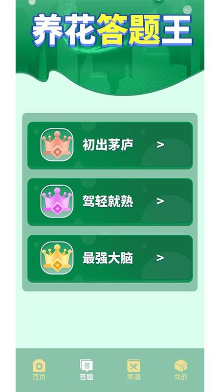 摆花齐放乐趣无限手机版v1.1.1截图2
