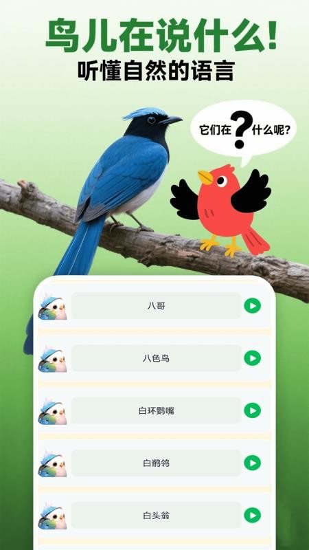 小鸟语翻译器手机版v1.3截图3