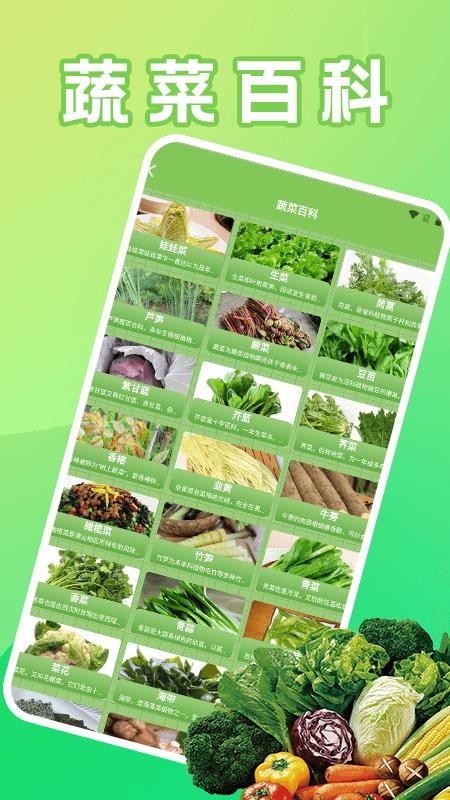 菜园大师好运最新版v1.2截图4
