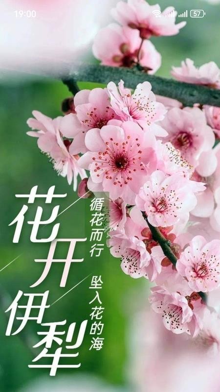 我的伊犁最新版v1.0.9截图1