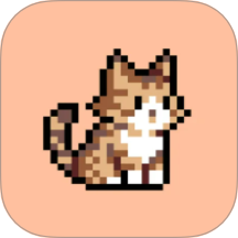 豆画官方版 v1.1