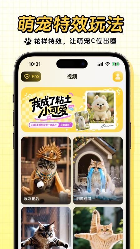 宠玩官方版v1.2.6截图3