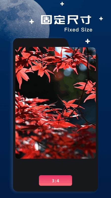 文件极客免费版v1.11截图4