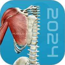 3D肌肉解剖手机版 v1.3