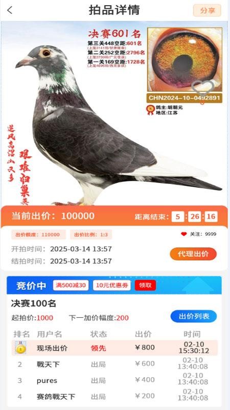 信鸽天堂官方版v3.1.3截图3