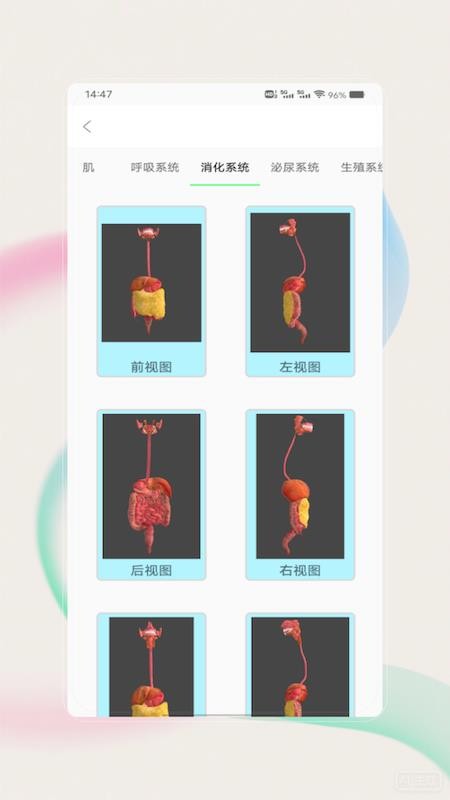 解剖图谱最新版v1.0截图2