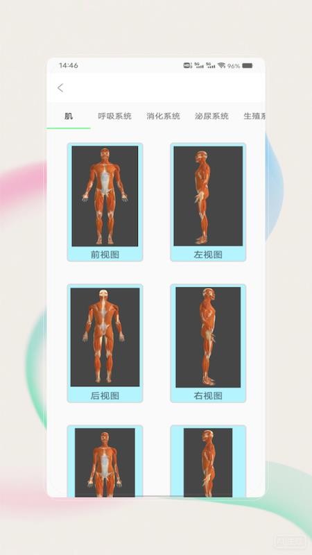 解剖图谱最新版v1.0截图1