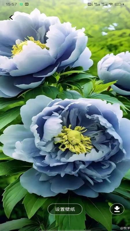 云盛花开APPv1.0.1截图4