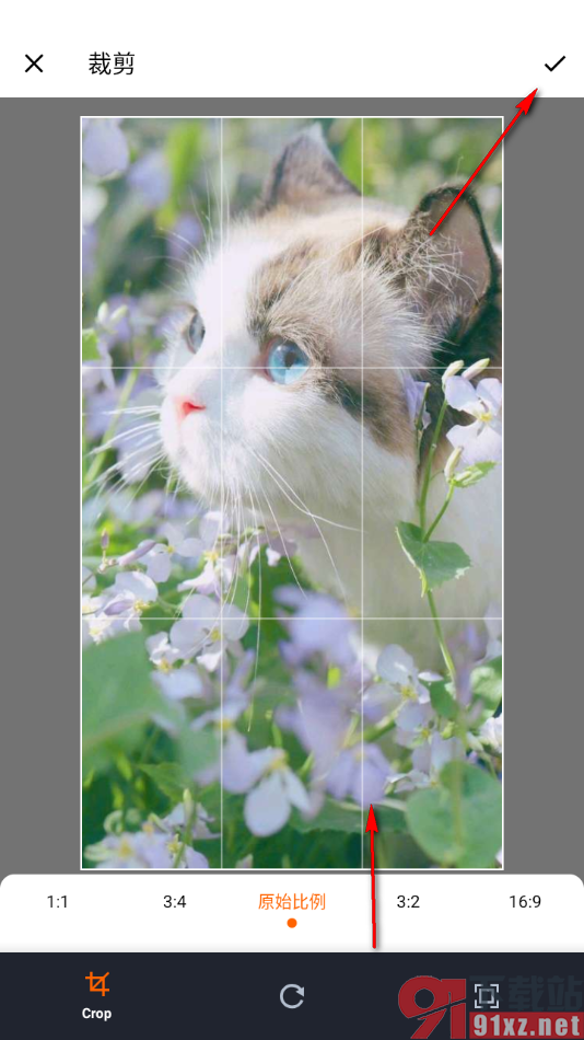 寻简思维导图APP设置在主题框中插入图片的方法