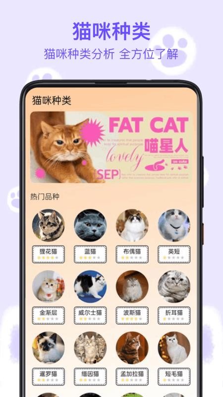 筑梦猫舍2025官网版v1.8截图2