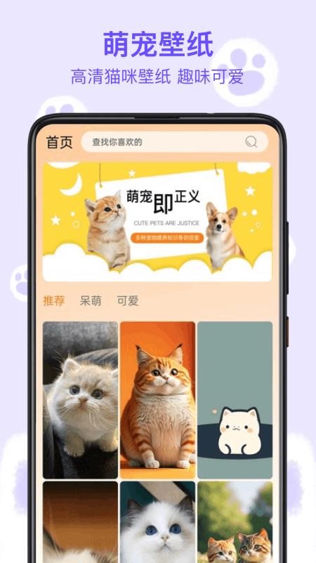 筑梦猫舍2025官网版v1.8截图1