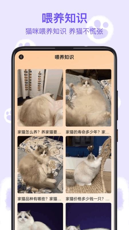 筑梦猫舍2025官网版v1.8截图3