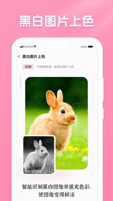 极速照片恢复助手免费版v1.3.192截图1