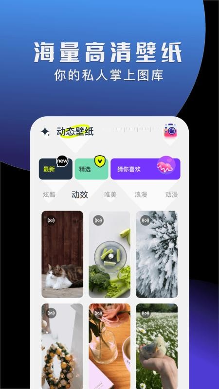 手机动态壁纸大全最新版v1.3截图2