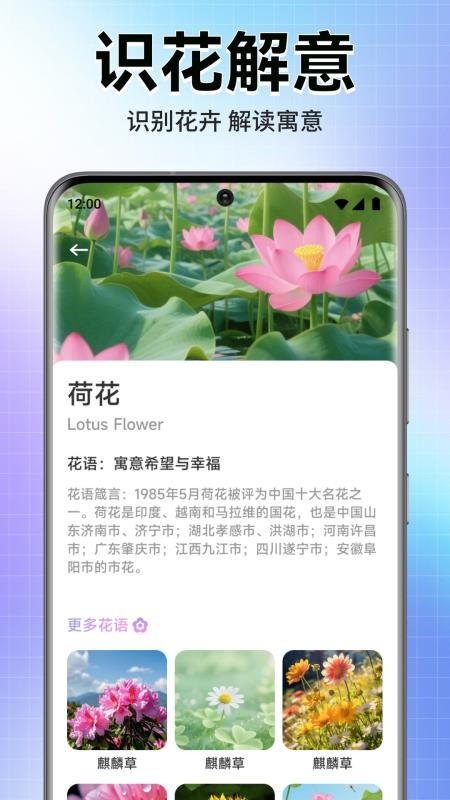 轻漫岛时光官方版v1.1截图3
