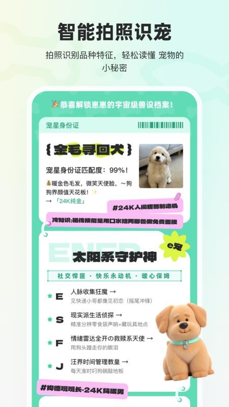 宠拍档官网版v1.2.2截图4