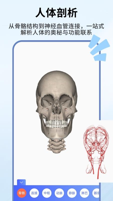 人体解剖学图谱最新版v1.0.5截图2