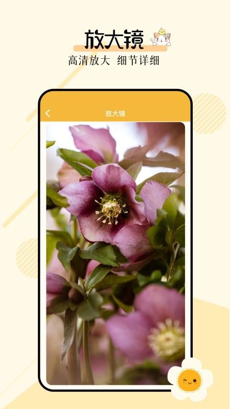 多功能小组件APPv1.2截图4