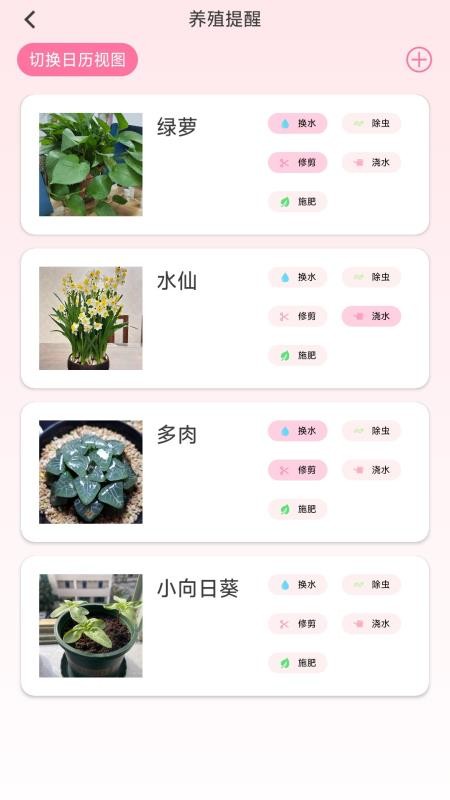 花开满堂手机版v1.0.5.2截图2