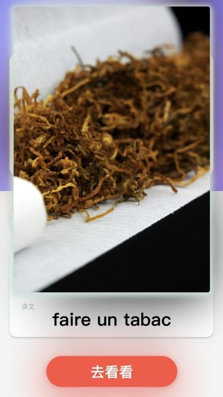 西班牙语翻译软件v2.0.1截图4