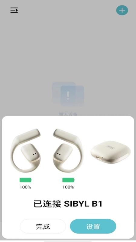 SIBYL MUSIC官网版v1.19截图4