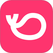 灰豚数据APP v3.8.1