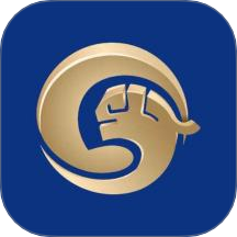 龙集正版 v1.0.29808