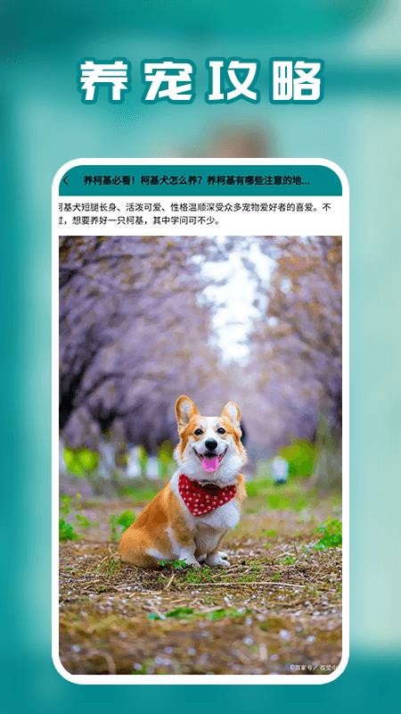 狗语免费版v1.4截图4
