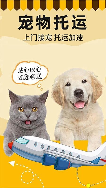 宠物托运顺风车APPv1.0.5截图2