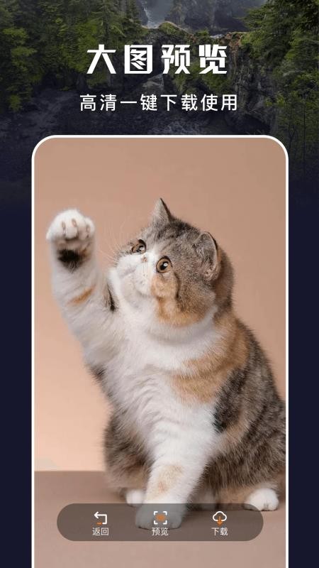 主题盒APPv1.6截图4