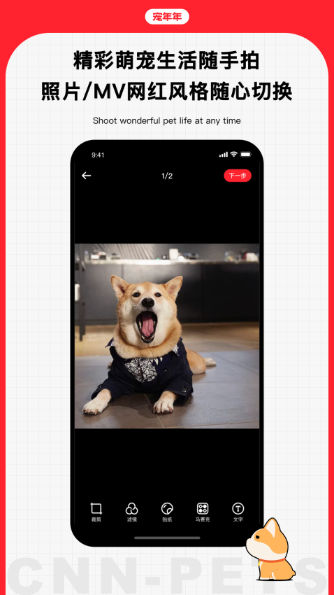 宠年年手机版v1.0.8.1(4)