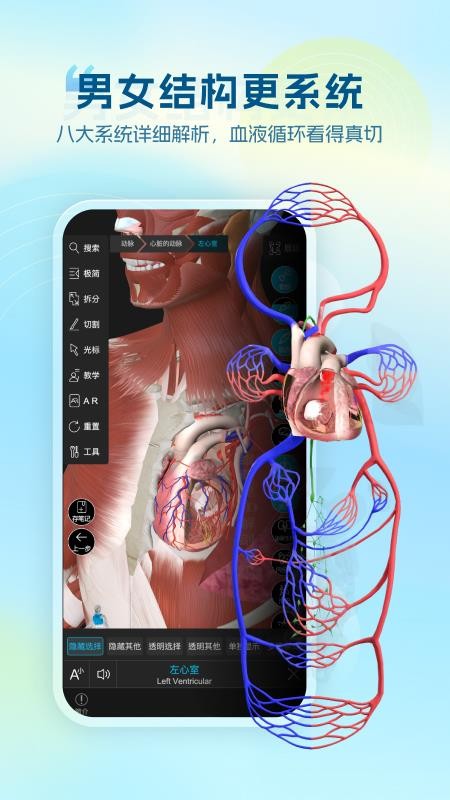 维萨里3D解剖免费版v6.9.7截图2