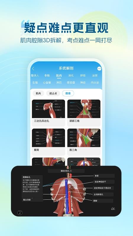 维萨里3D解剖免费版v6.9.7截图3