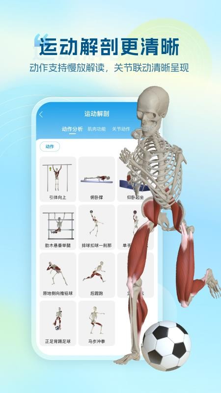 维萨里3D解剖免费版v6.9.7截图4